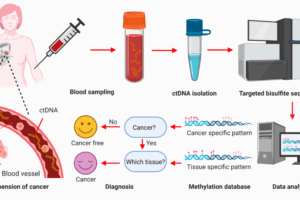 cancers-12-02767-g002
